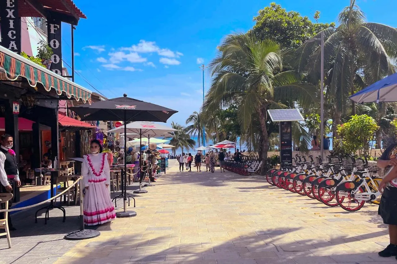 Stylish Studio On The 5Th Ave Of Playa Del Carmen